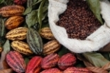 Produits Issus du Cacao - La Boutique du Pâtissier